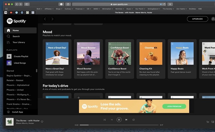 Spotify Web Player