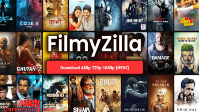 Filmyzilla.in