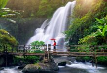 vagamon movies